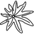 Castor Oil